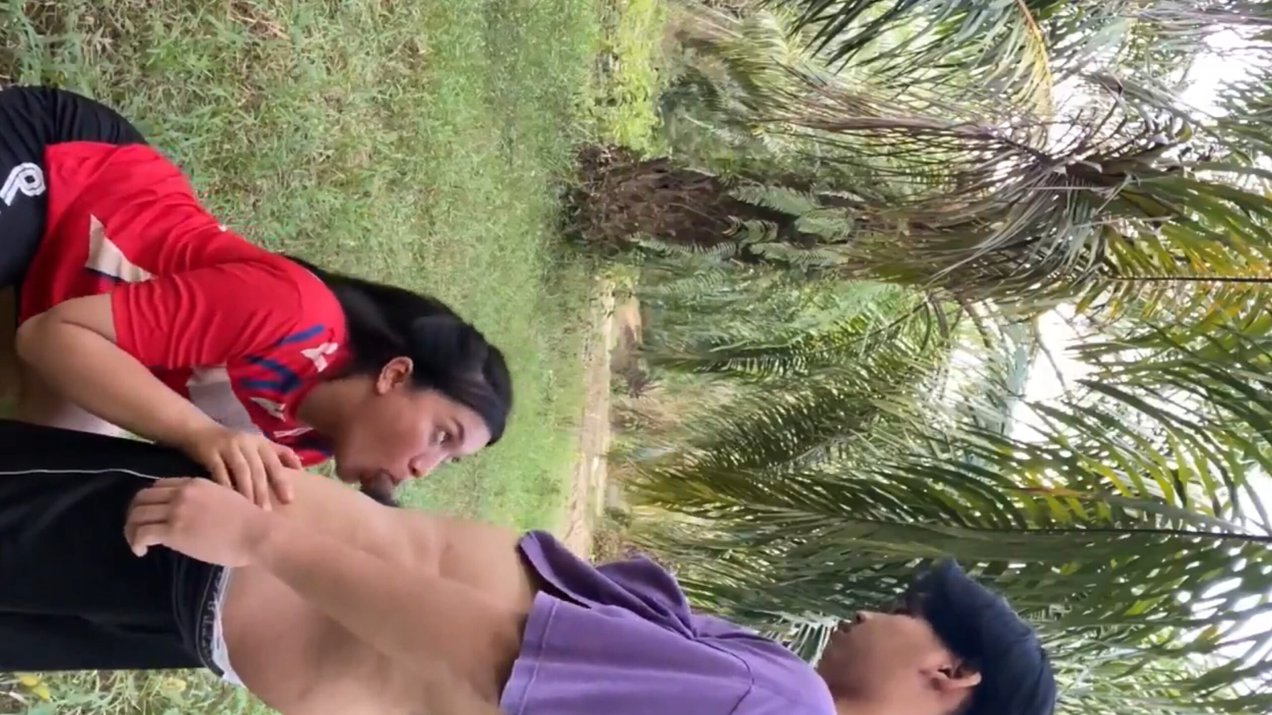 Mesum Ngewe Di Kebun Sawit | Bokep Indonesia